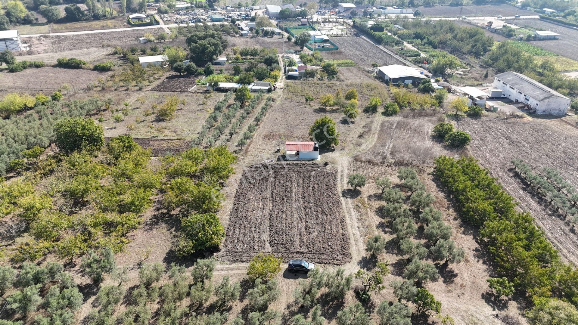 Bahar'dan Görükle'de Bağ Evi Yapımına Uygun Tarla - Görsel 4