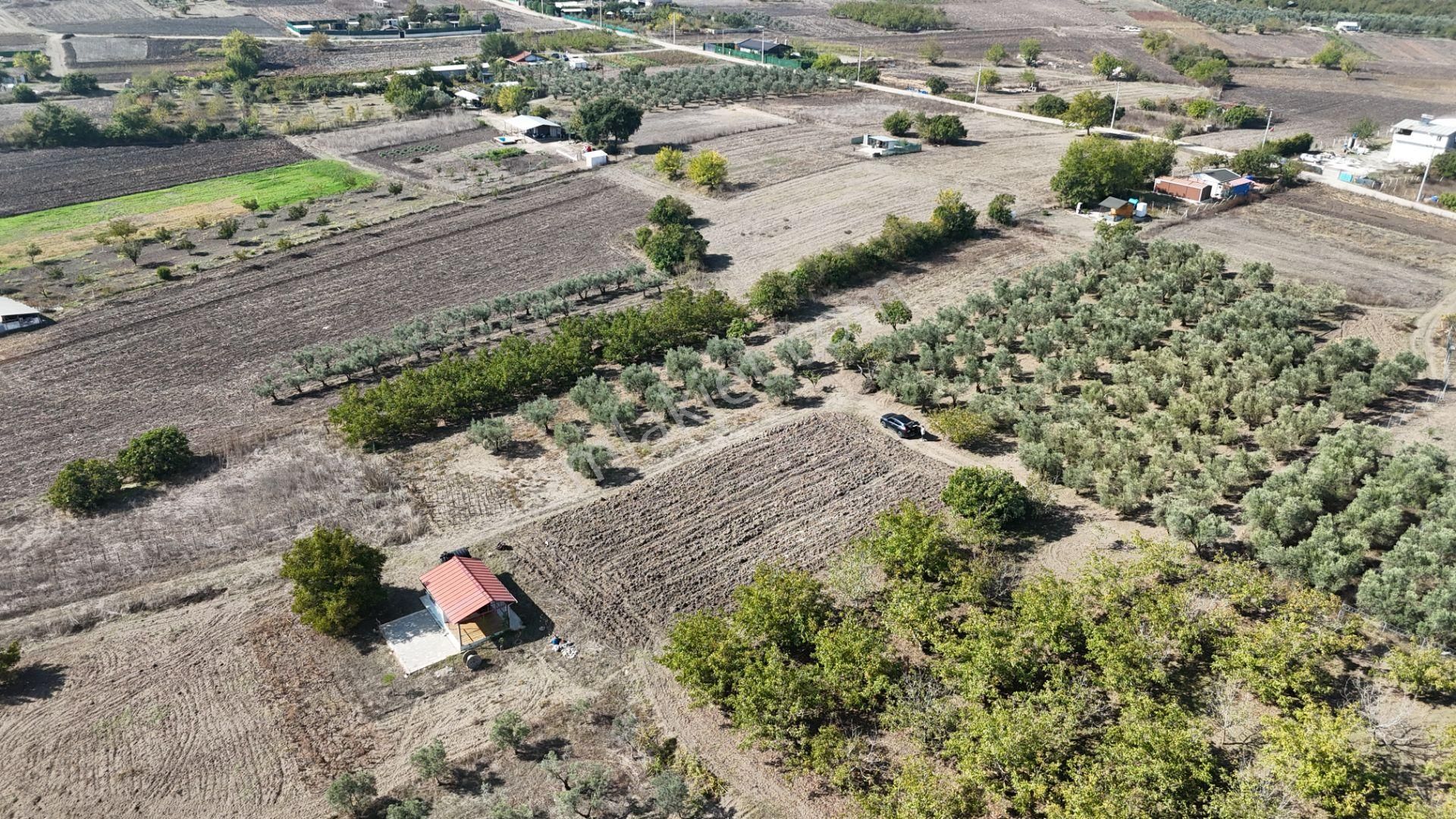 Bahar'dan Görükle'de Bağ Evi Yapımına Uygun Tarla - Görsel 7
