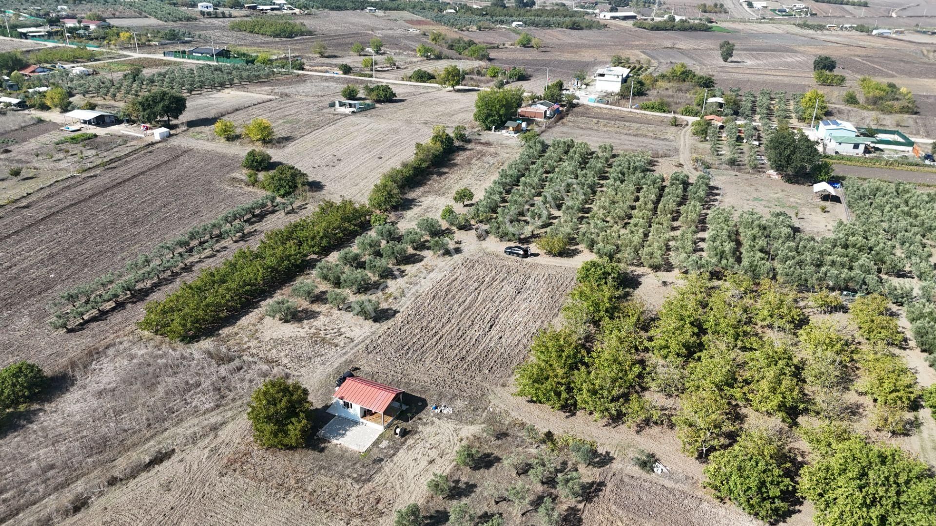 Bahar'dan Görükle'de Bağ Evi Yapımına Uygun Tarla - Görsel 8