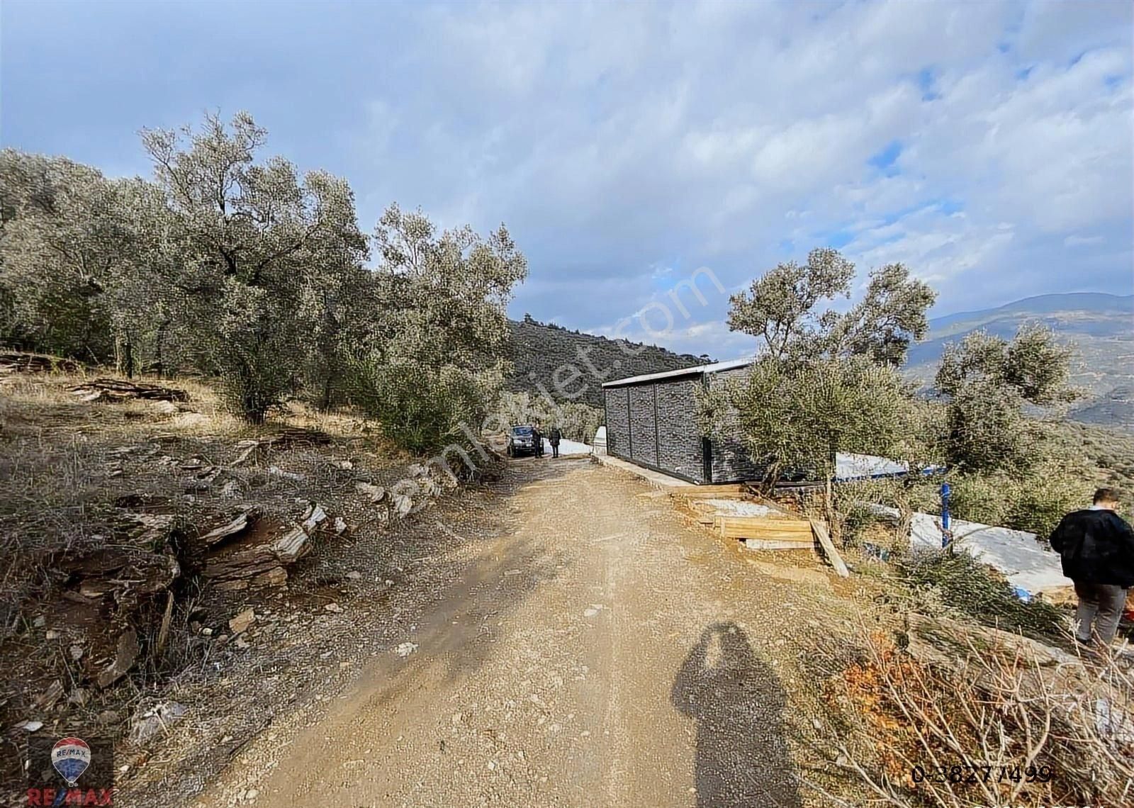 Bayındır Kızıloba 785 M2 Yolu Ve Verimli Ağaçlı Satılık Tarla - Görsel 10