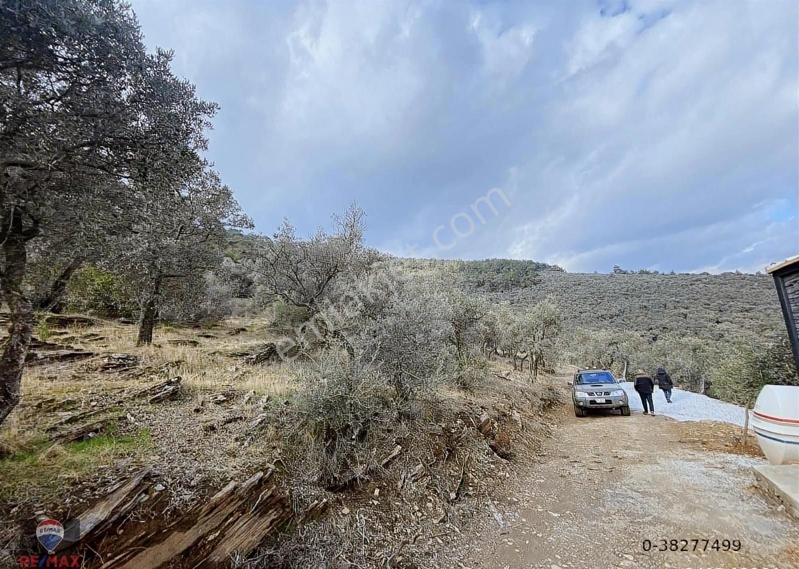 Bayındır Kızıloba 785 M2 Yolu Ve Verimli Ağaçlı Satılık Tarla - Görsel 25