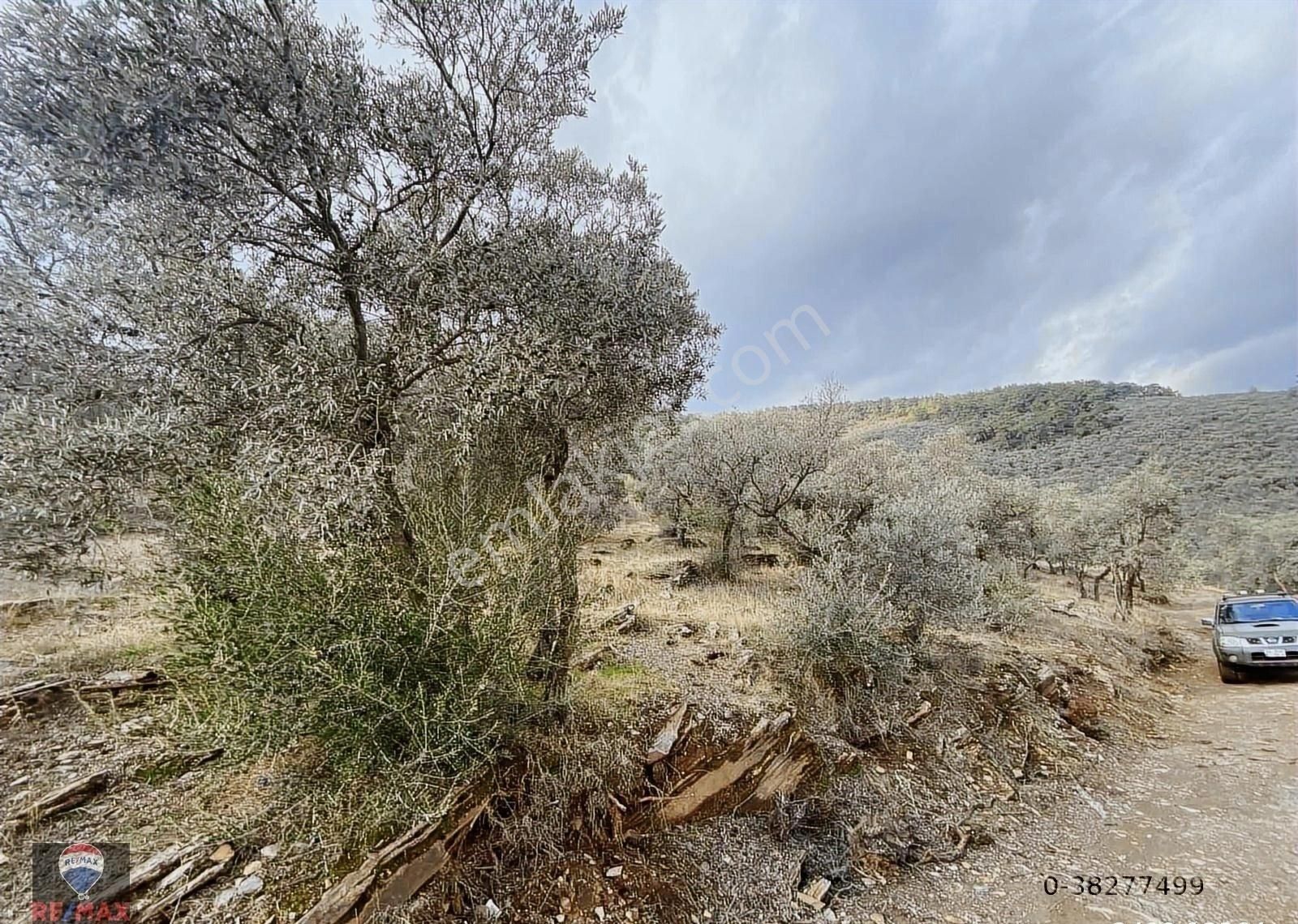 Bayındır Kızıloba 785 M2 Yolu Ve Verimli Ağaçlı Satılık Tarla - Görsel 28