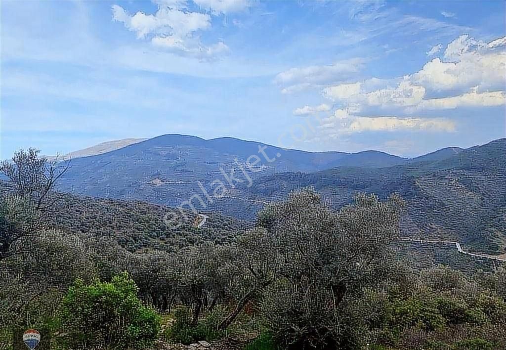 Bayındır Kızıloba 785 M2 Yolu Ve Verimli Ağaçlı Satılık Tarla - Görsel 26