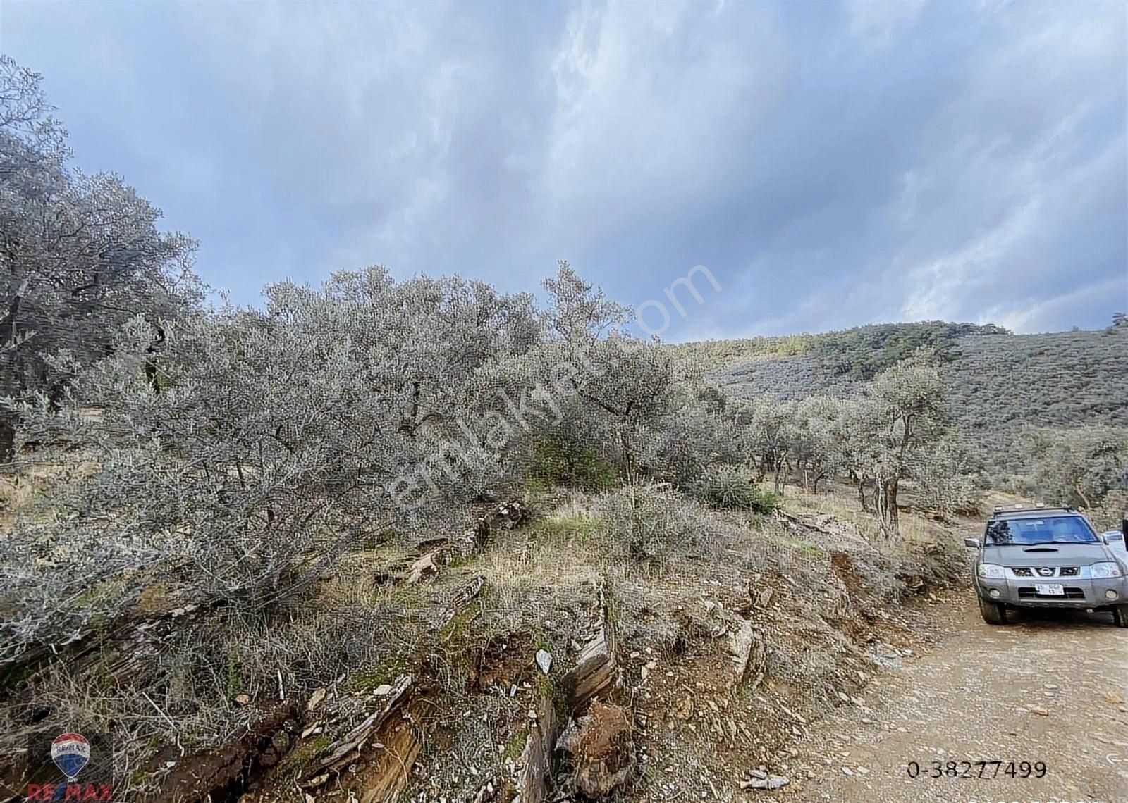 Bayındır Kızıloba 785 M2 Yolu Ve Verimli Ağaçlı Satılık Tarla - Görsel 32