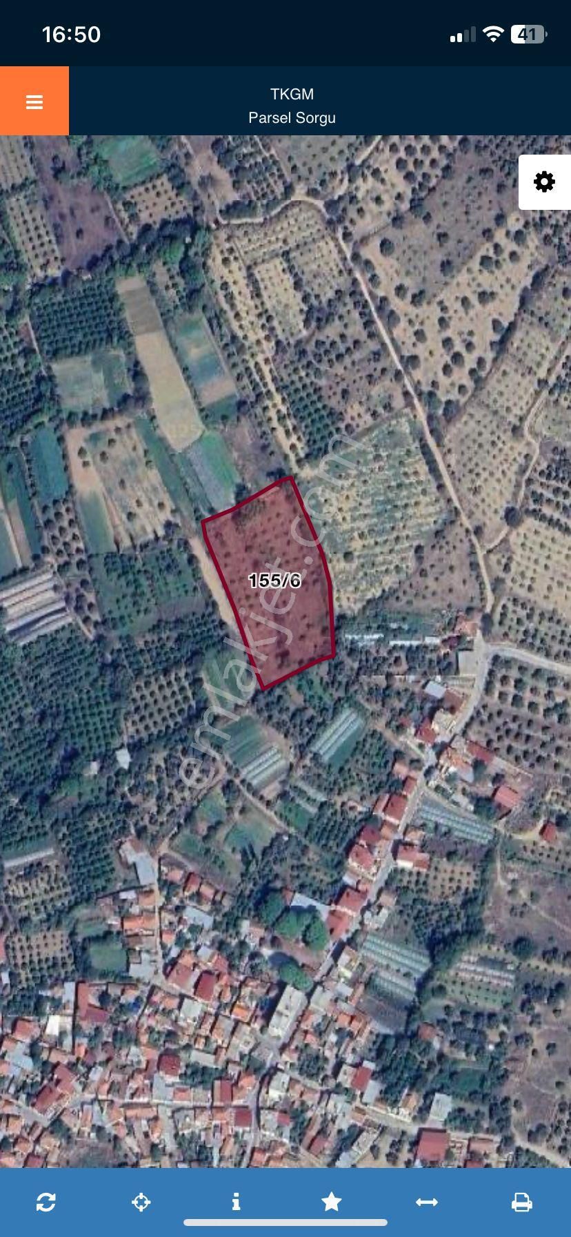 Konut Emlak2'den Müstakil Tapulu Kuyucak Sinekler(beşeylül) 7951m2 İncir Bahçesi