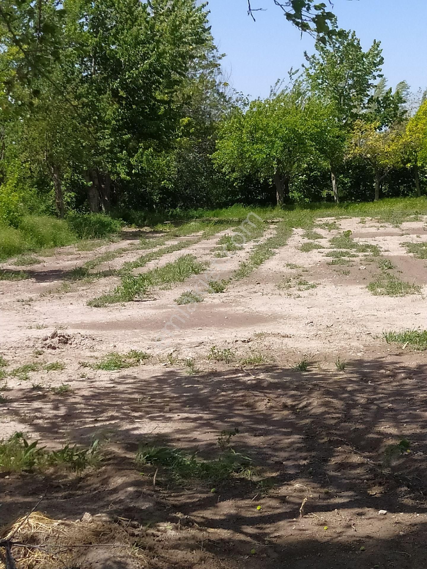 Sahibinden Satılık Bahçe - Görsel 9