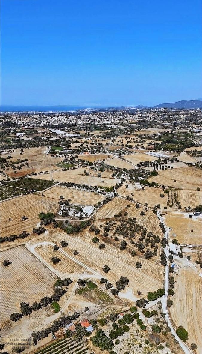 Şarap Bağlarına Ve Urla Merkeze Komşu,yola Cepheli Tarla - Görsel 18
