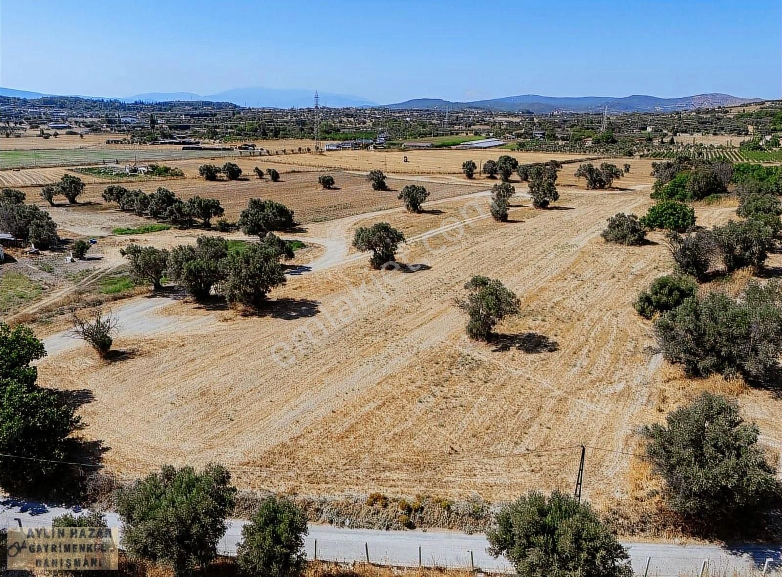 Şarap Bağlarına Ve Urla Merkeze Komşu,yola Cepheli Tarla - Görsel 21