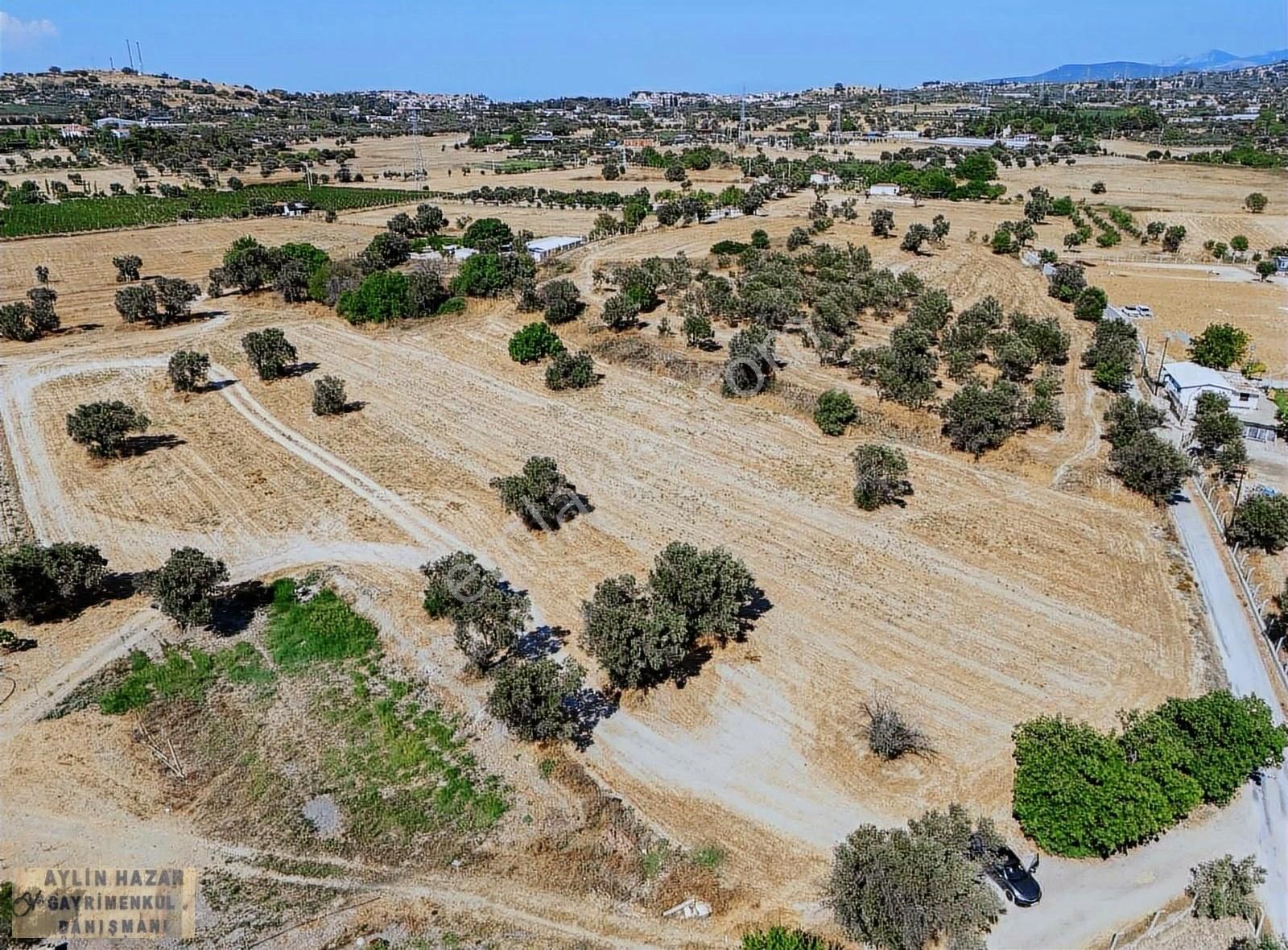 Şarap Bağlarına Ve Urla Merkeze Komşu,yola Cepheli Tarla - Görsel 24