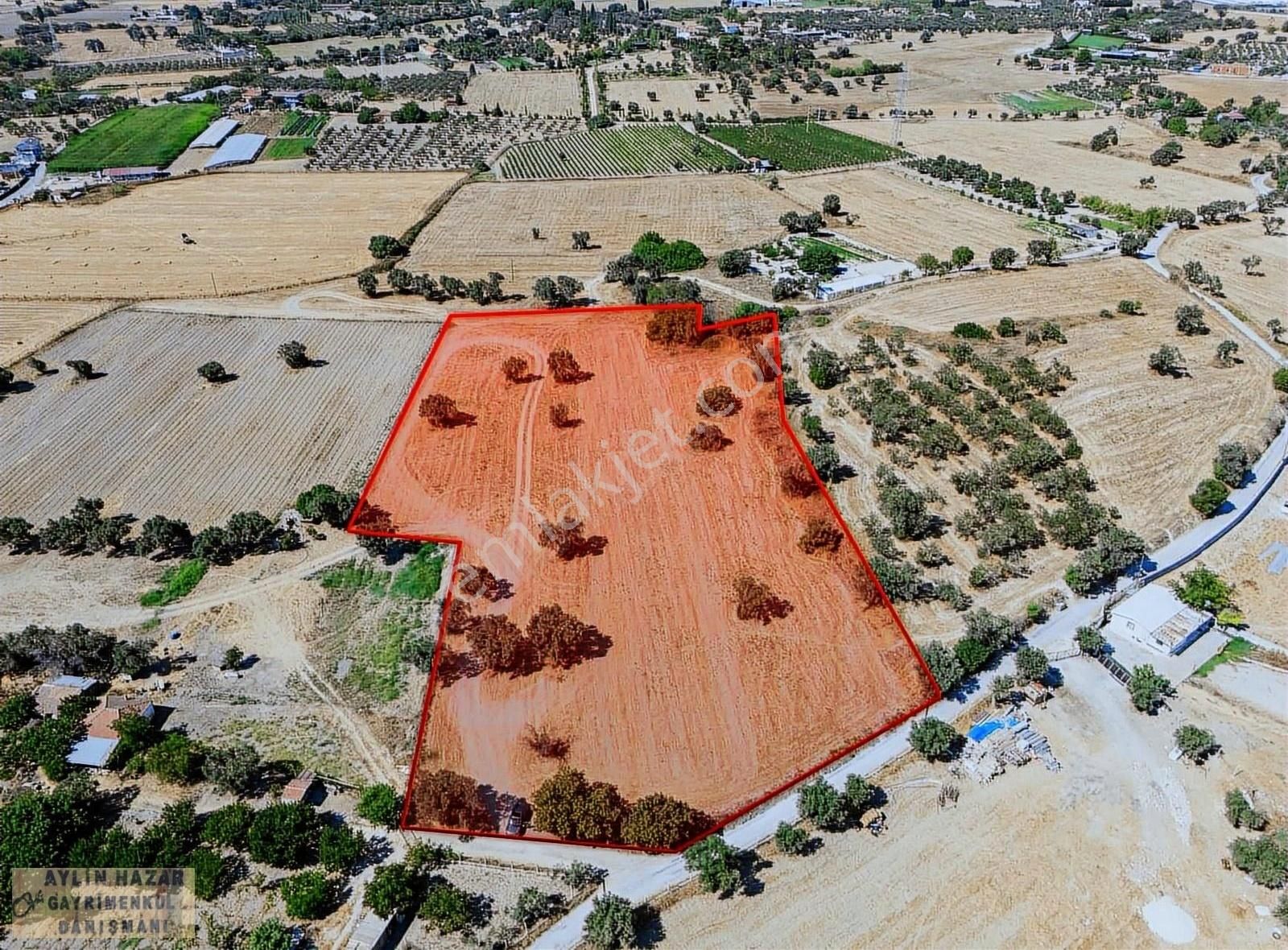 Şarap Bağlarına Ve Urla Merkeze Komşu,yola Cepheli Tarla - Görsel 13