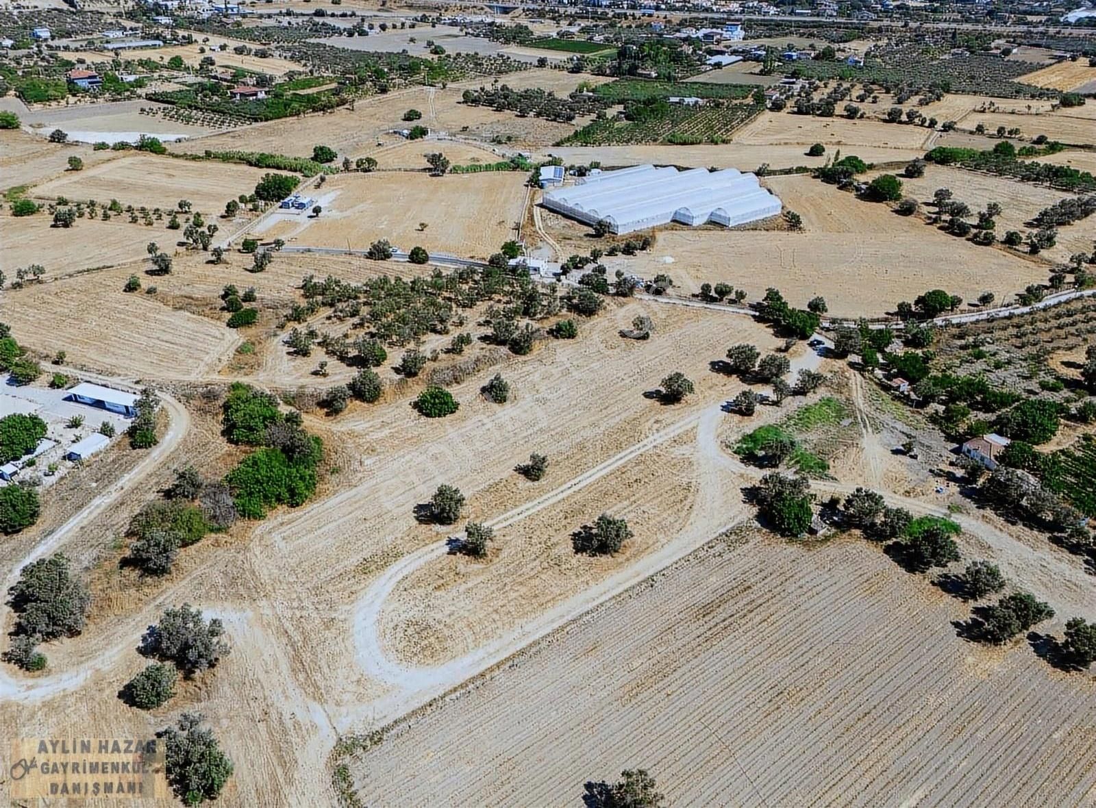 Şarap Bağlarına Ve Urla Merkeze Komşu,yola Cepheli Tarla - Görsel 8