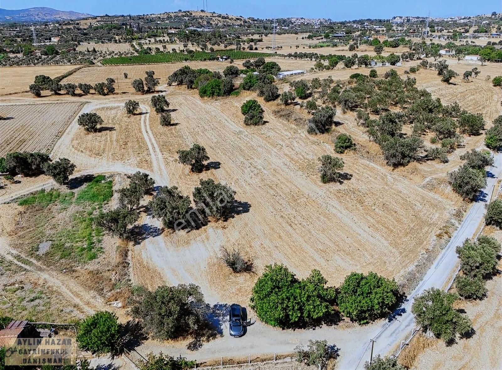 Şarap Bağlarına Ve Urla Merkeze Komşu,yola Cepheli Tarla - Görsel 29