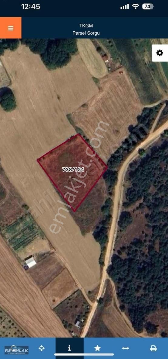Kestel Gölcük'te Satılık 3100 M2 Yatırımlık Tarla - Görsel 14
