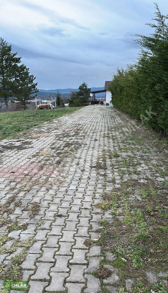 Mengen Babahızır Köyü 5000 M2 Bahçe İçinde Satılık Müstakil Ev - Görsel 6