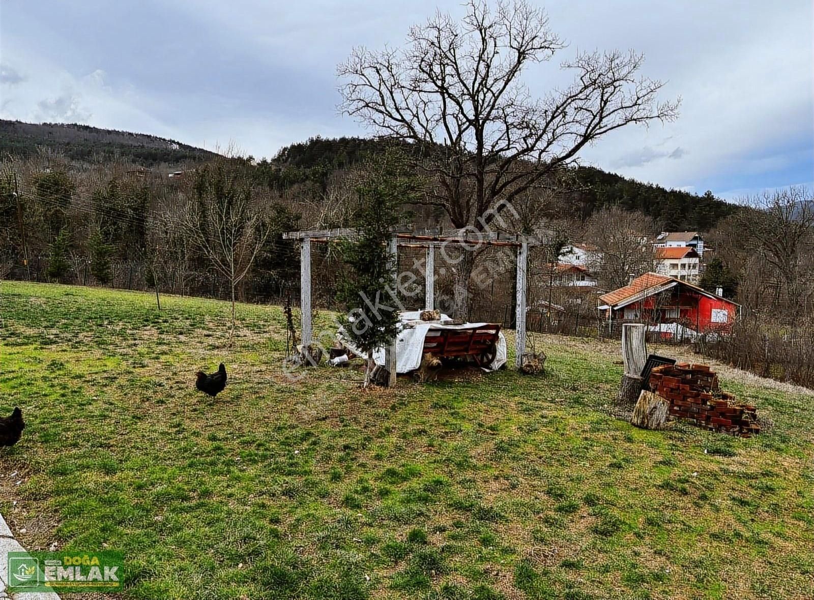 Mengen Babahızır Köyü 5000 M2 Bahçe İçinde Satılık Müstakil Ev