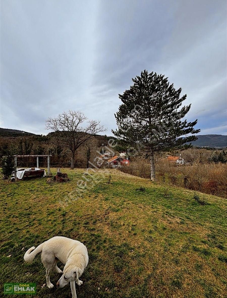 Mengen Babahızır Köyü 5000 M2 Bahçe İçinde Satılık Müstakil Ev - Görsel 5