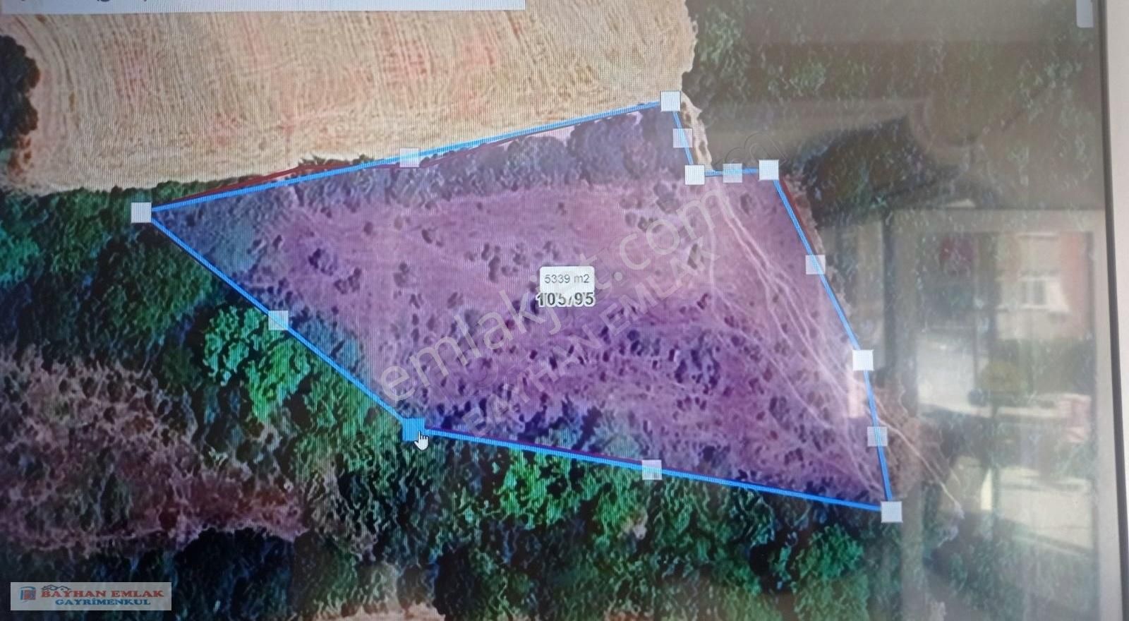 Çanakkale Lapseki Göreci Köyü Acil Satılık Tarla - Görsel 2