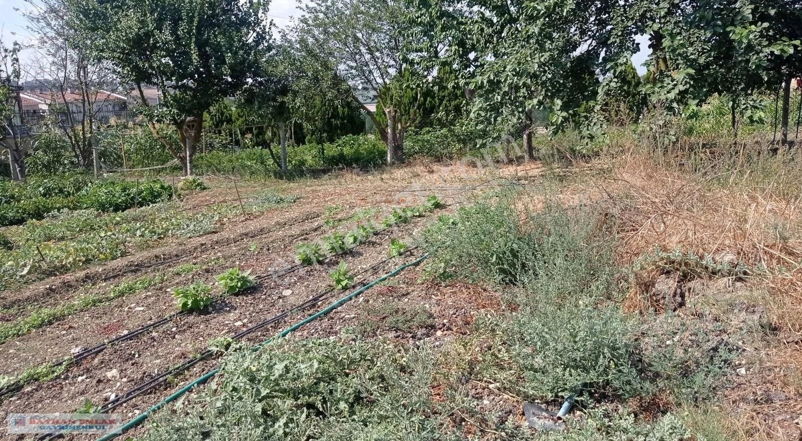 Büyükçekmece Hürriyet'te Acil Satılık 500 M2 Müstakil Arsa - Görsel 9