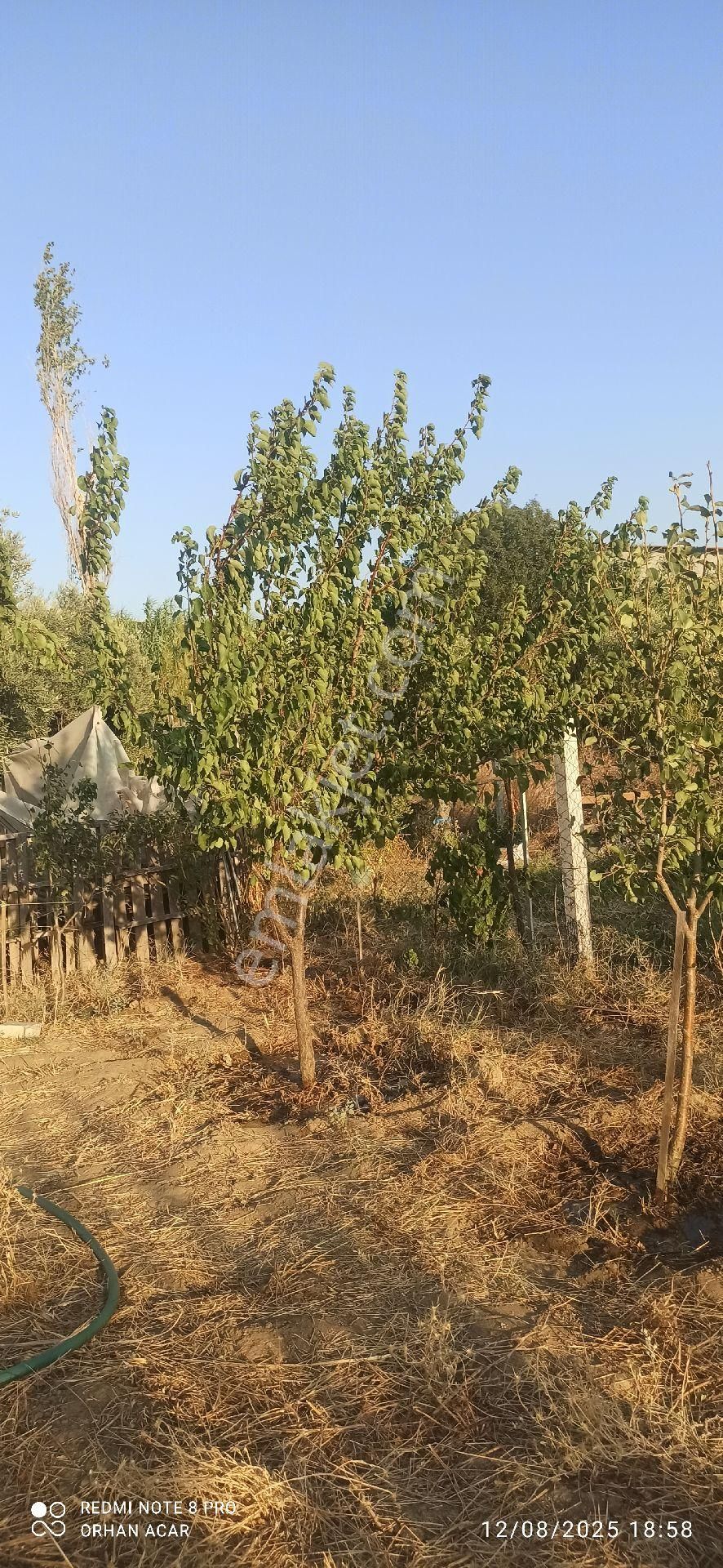 Torbalı Dirmilde Hisse Tapulu Bahçe Satış Tapu Dairesinden - Görsel 7