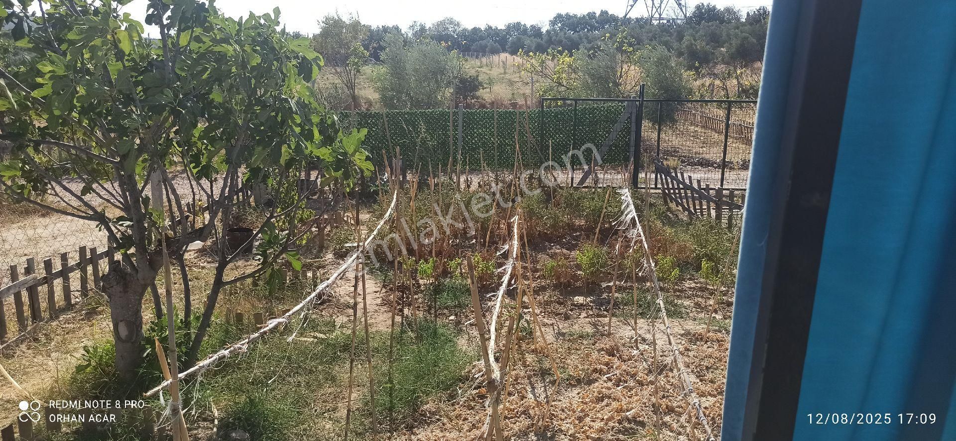 Oturmaya Hazır Kooperatif Hisseli Bahçe - Görsel 6