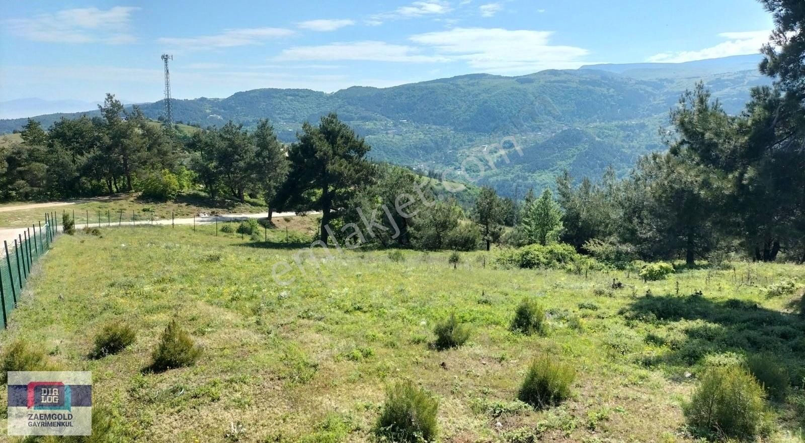 Bursa Nilüfer Dağyenice'de Manzaralı Satılık Tarla