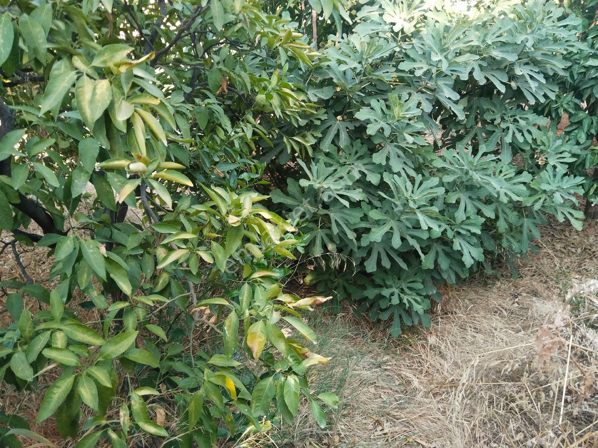 Duru Emlak'tan Satılık Ev - Görsel 25