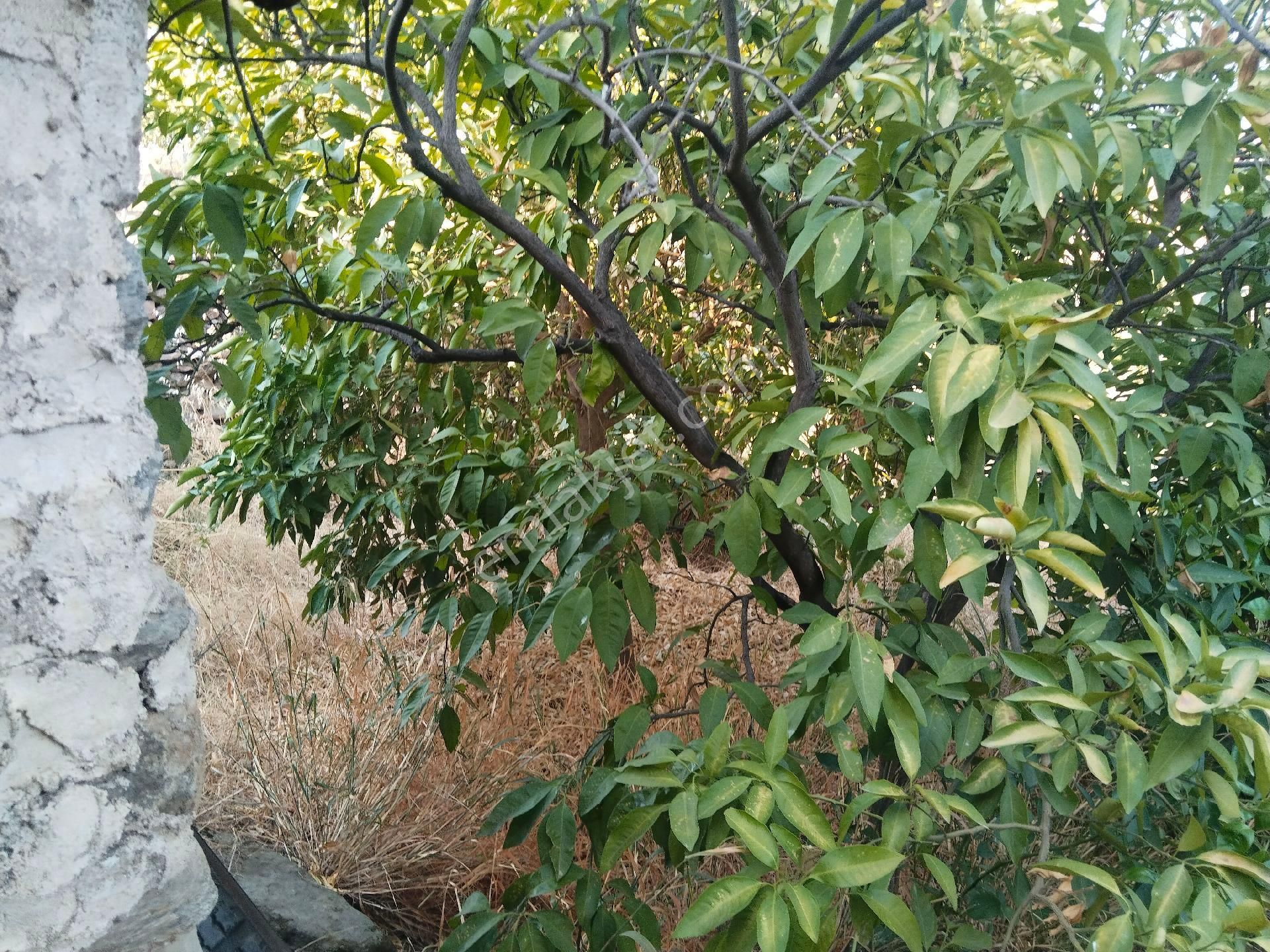 Duru Emlak'tan Satılık Ev - Görsel 23