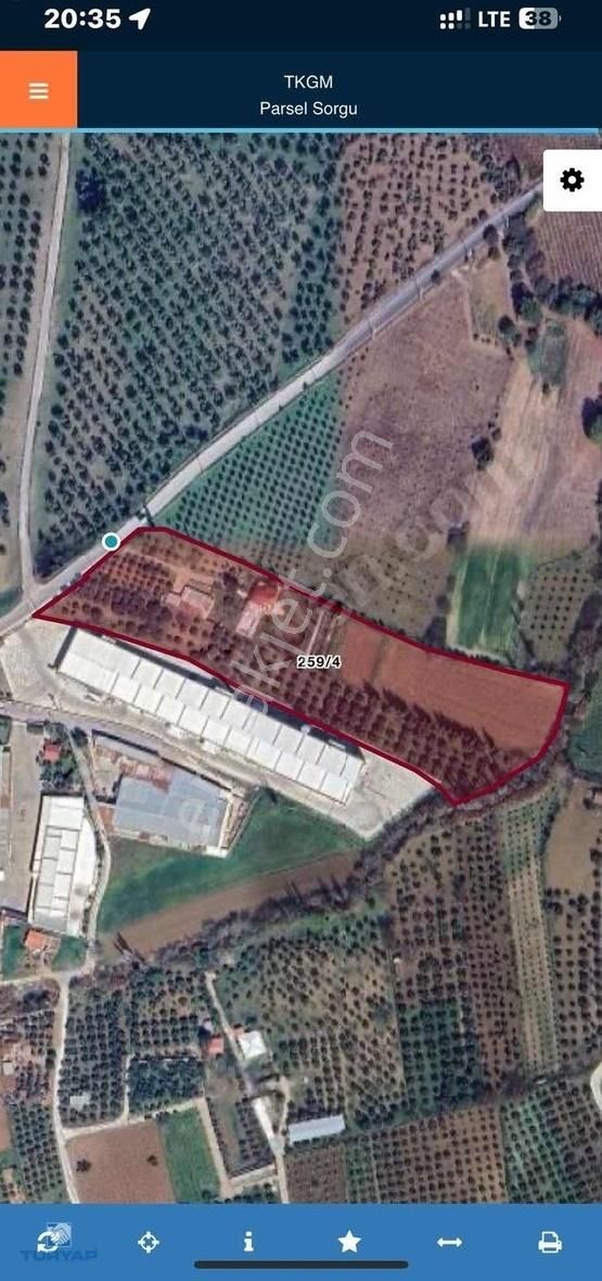 Torbalı Gazi Mustafa Kemal Mah 8274 M2 Zeytinlik Bağ Ve Dam - Görsel 19