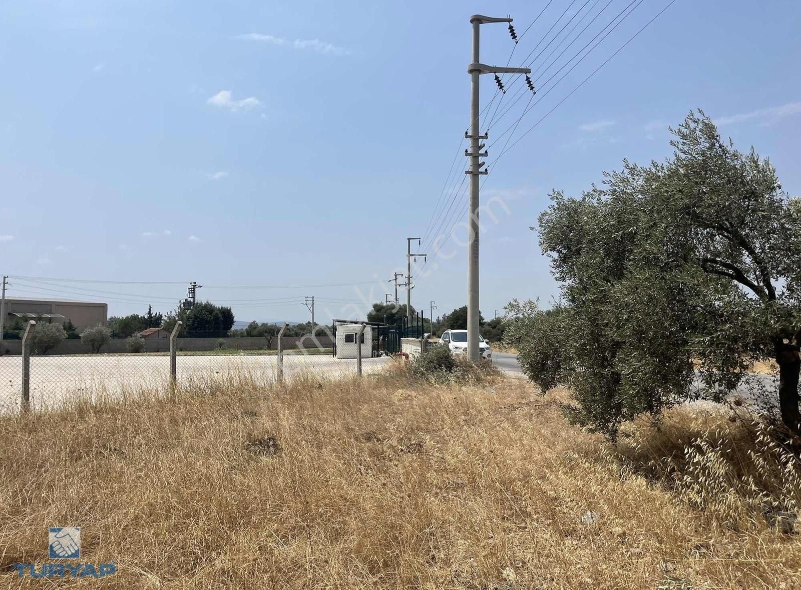 Torbalı Gazi Mustafa Kemal Mah 8274 M2 Zeytinlik Bağ Ve Dam