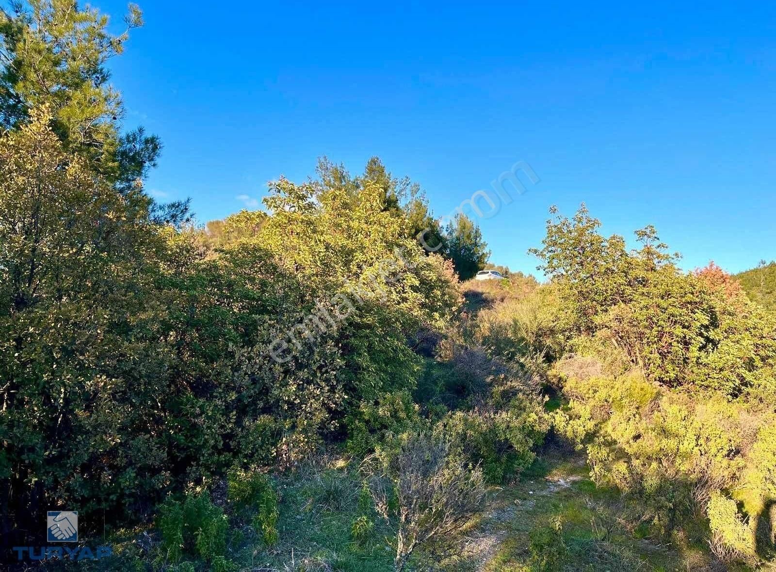 Torbalı Helvacı Mah.9412 M2 Müstakil Parsel Satılık Tarla - Görsel 18