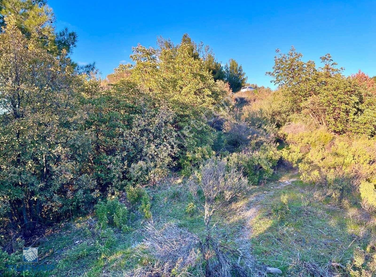 Torbalı Helvacı Mah.9412 M2 Müstakil Parsel Satılık Tarla - Görsel 12