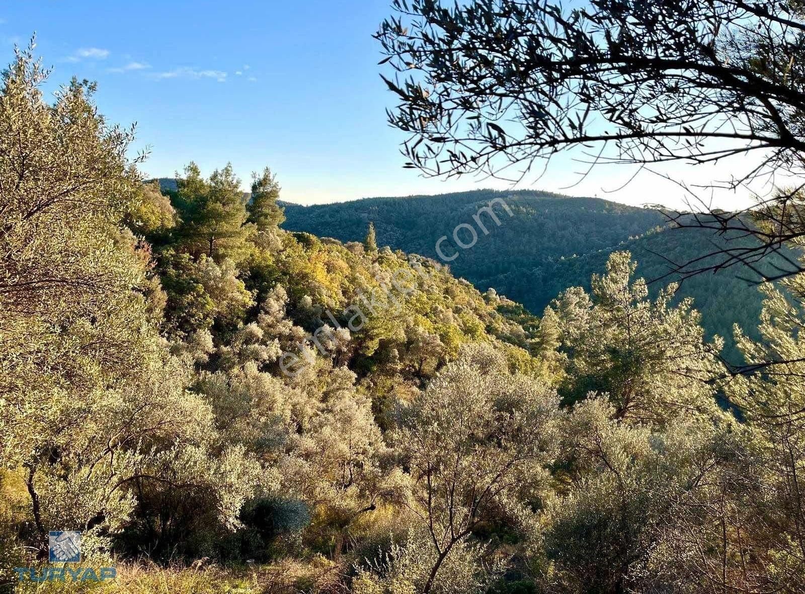 Torbalı Helvacı Mah.9412 M2 Müstakil Parsel Satılık Tarla - Görsel 4