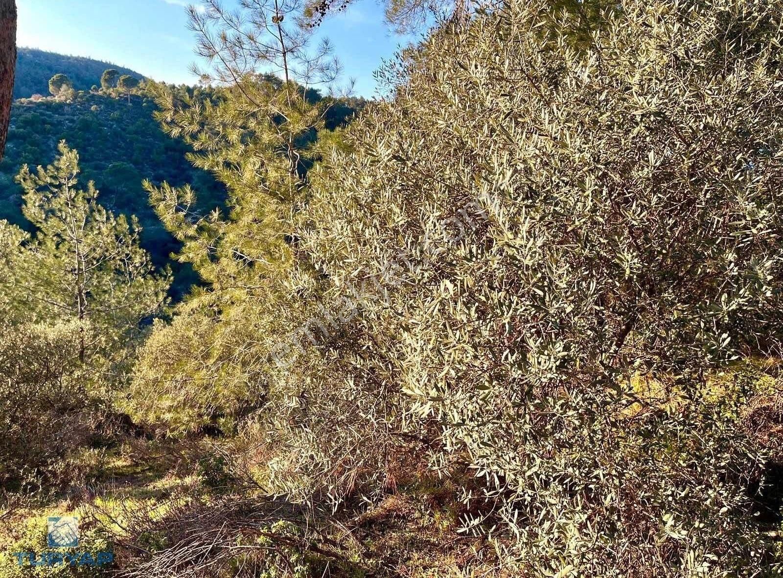 Torbalı Helvacı Mah.9412 M2 Müstakil Parsel Satılık Tarla - Görsel 20