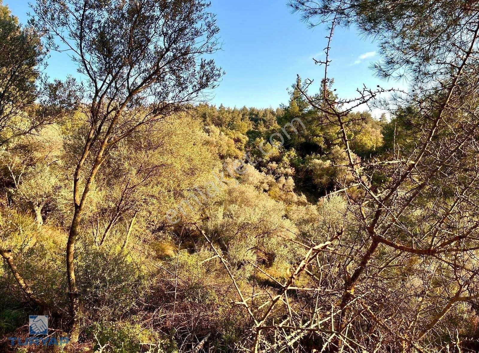 Torbalı Helvacı Mah.9412 M2 Müstakil Parsel Satılık Tarla - Görsel 8