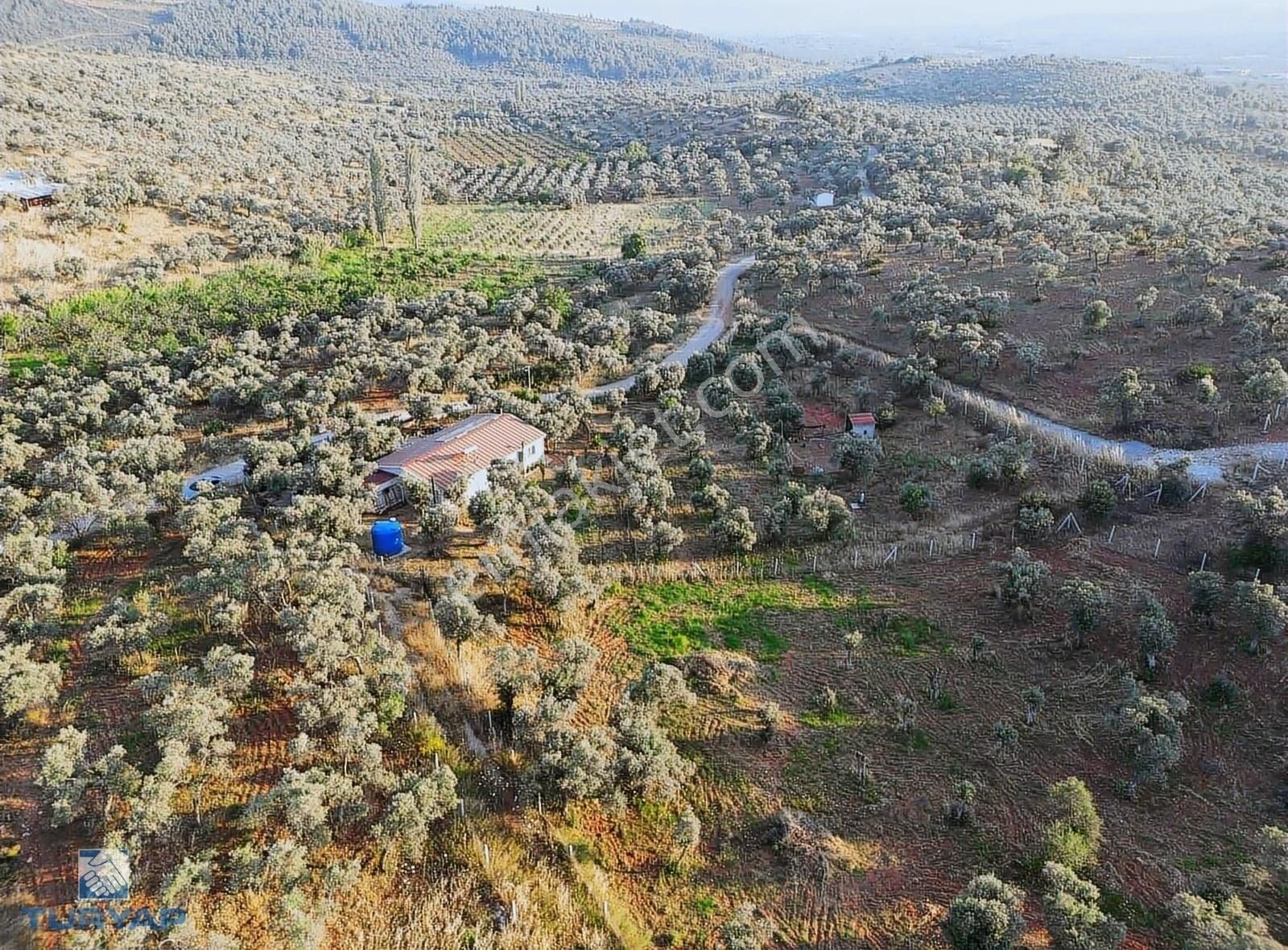 Torbalı Karakızlar Mah 3405m2 Evi Olan Müstakil Parsel Arazi - Görsel 26