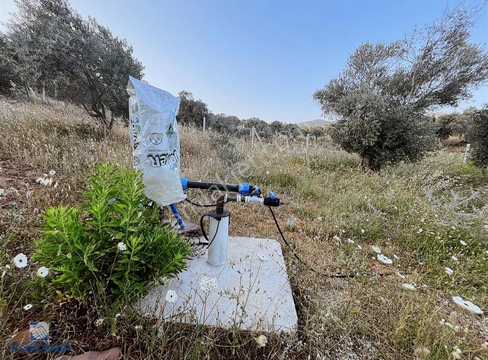 Torbalı Karakızlar Mah 3405m2 Evi Olan Müstakil Parsel Arazi - Görsel 7