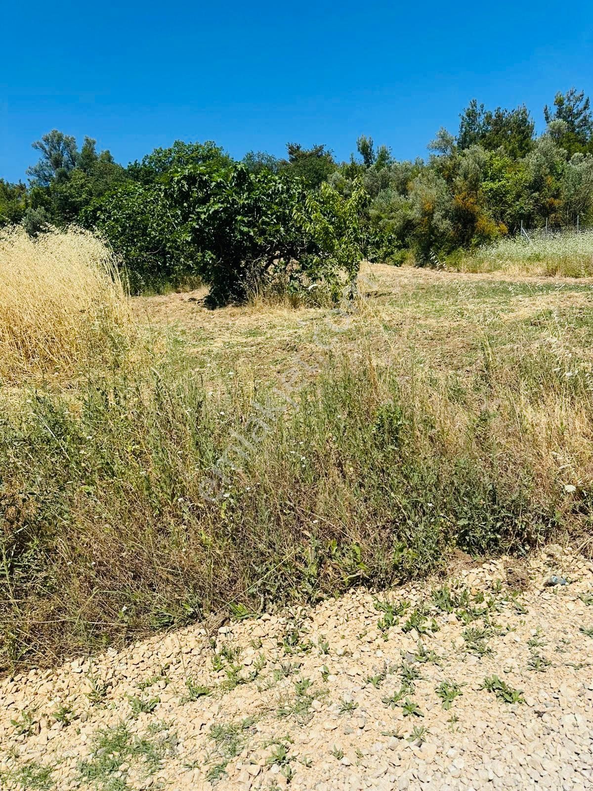 Nilüferköy’de Satılık 210 M2 Yola Cephe Hisseli Tapu Fırsat