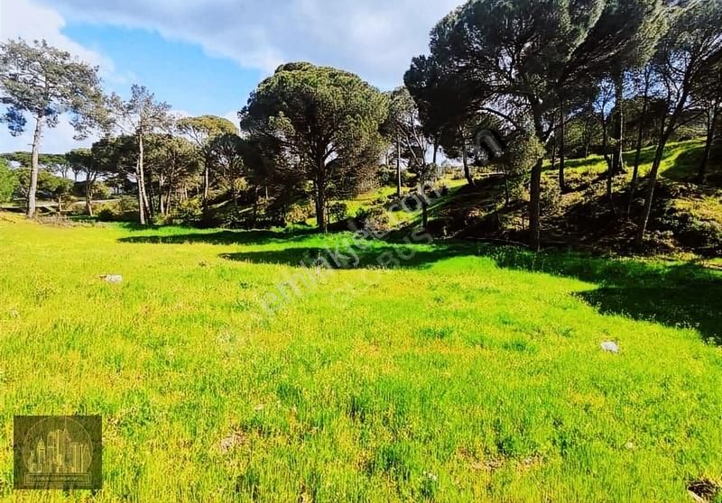 Marmarisde Denize Yürüme Mesafesi Tek Tapu Yatırımlık Arsa - Görsel 5