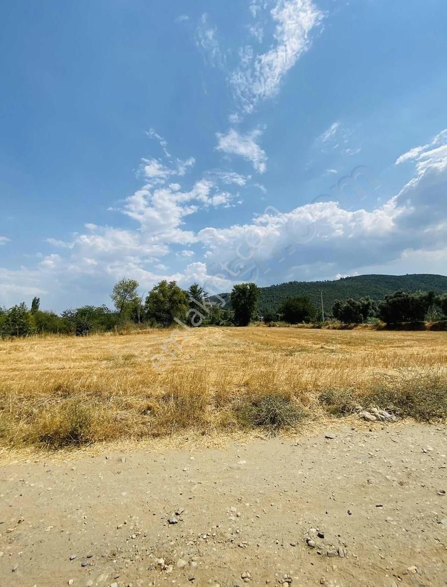Avcılar Emlak'tan Kapubağda Yol Kenarı Tarla