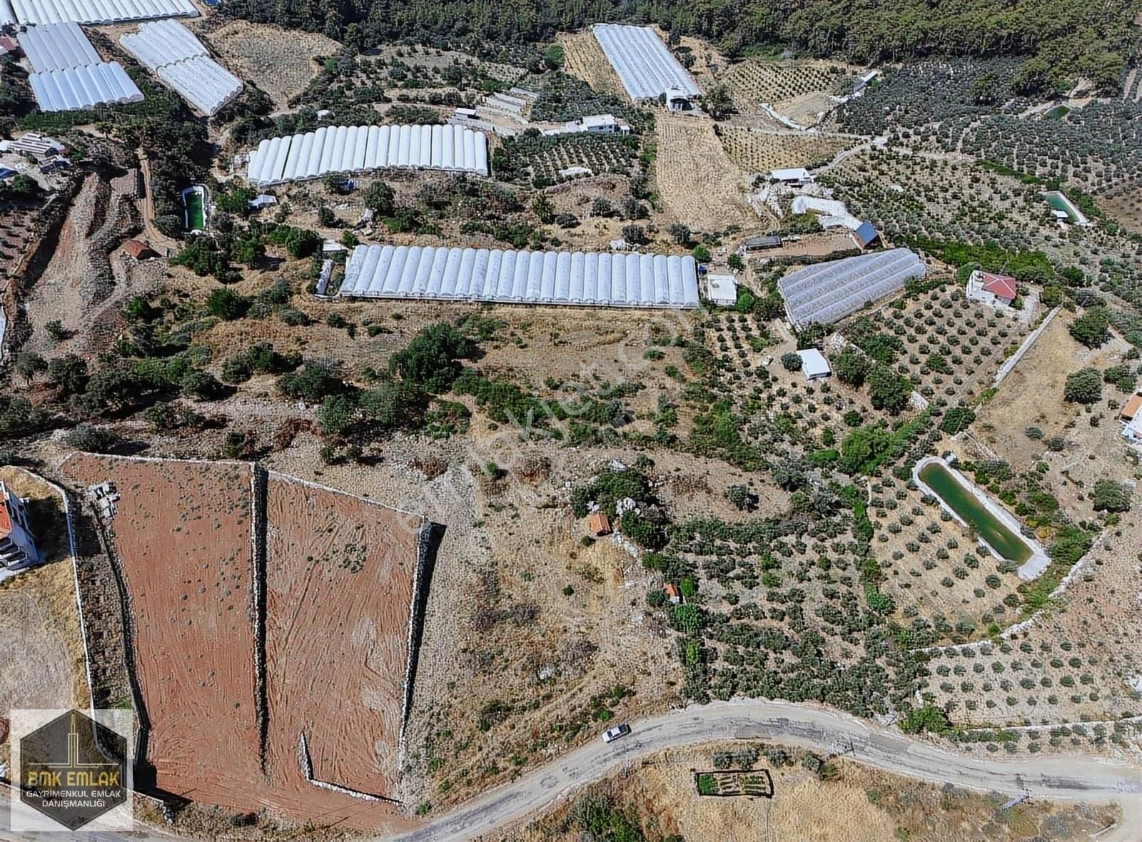 Bmkdan Güzörende Rızai Taksimli Uygun Fiyatlı Tarla - Görsel 13