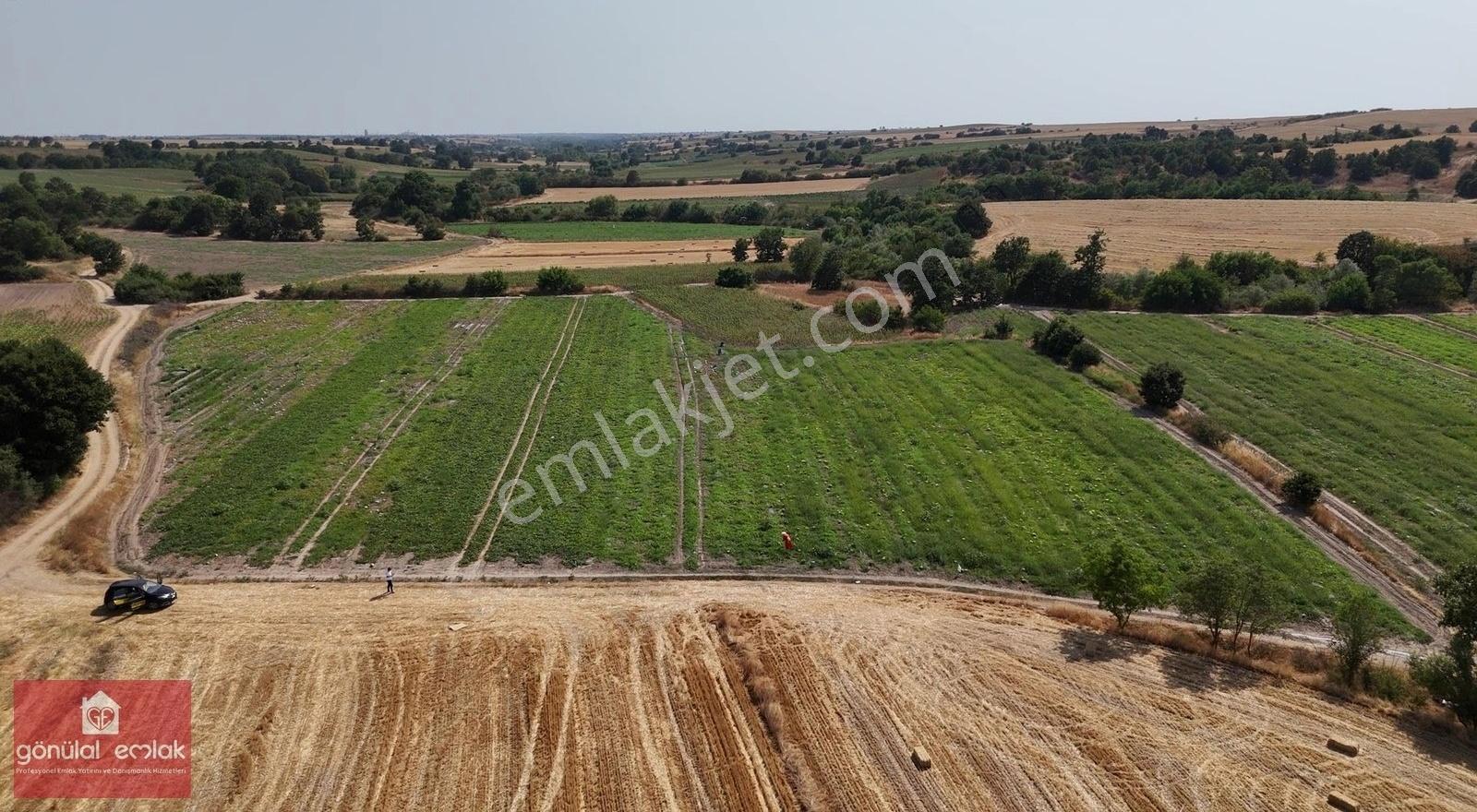 Kırklareli Kavakdere Resmi Yola Cephe Dereboyu 12.900 M2 Tarla - Görsel 5