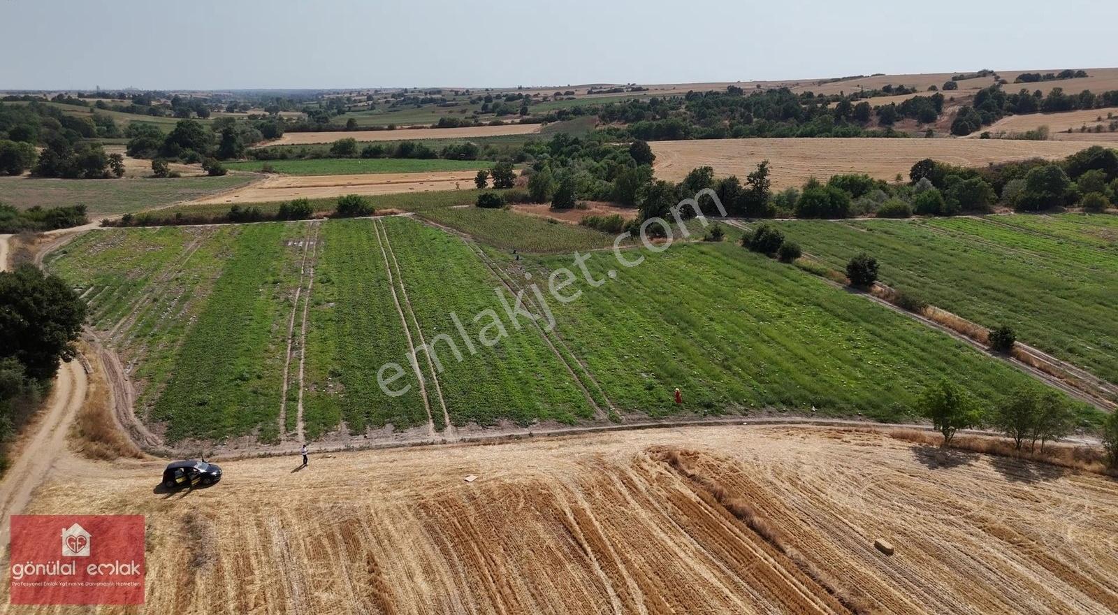 Kırklareli Kavakdere Resmi Yola Cephe Dereboyu 12.900 M2 Tarla - Görsel 12