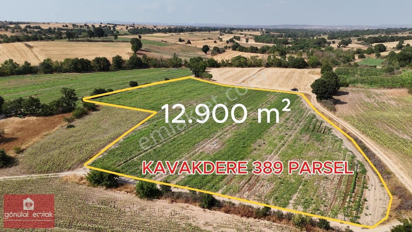 Kırklareli Kavakdere Resmi Yola Cephe Dereboyu 12.900 M2 Tarla - Görsel 25