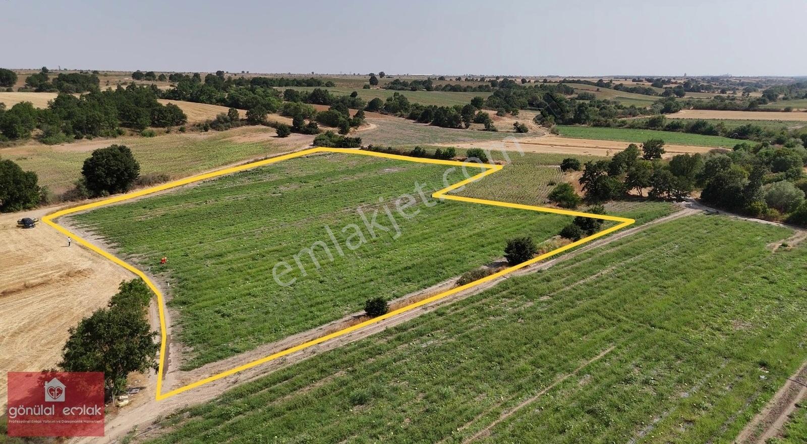 Kırklareli Kavakdere Resmi Yola Cephe Dereboyu 12.900 M2 Tarla - Görsel 24