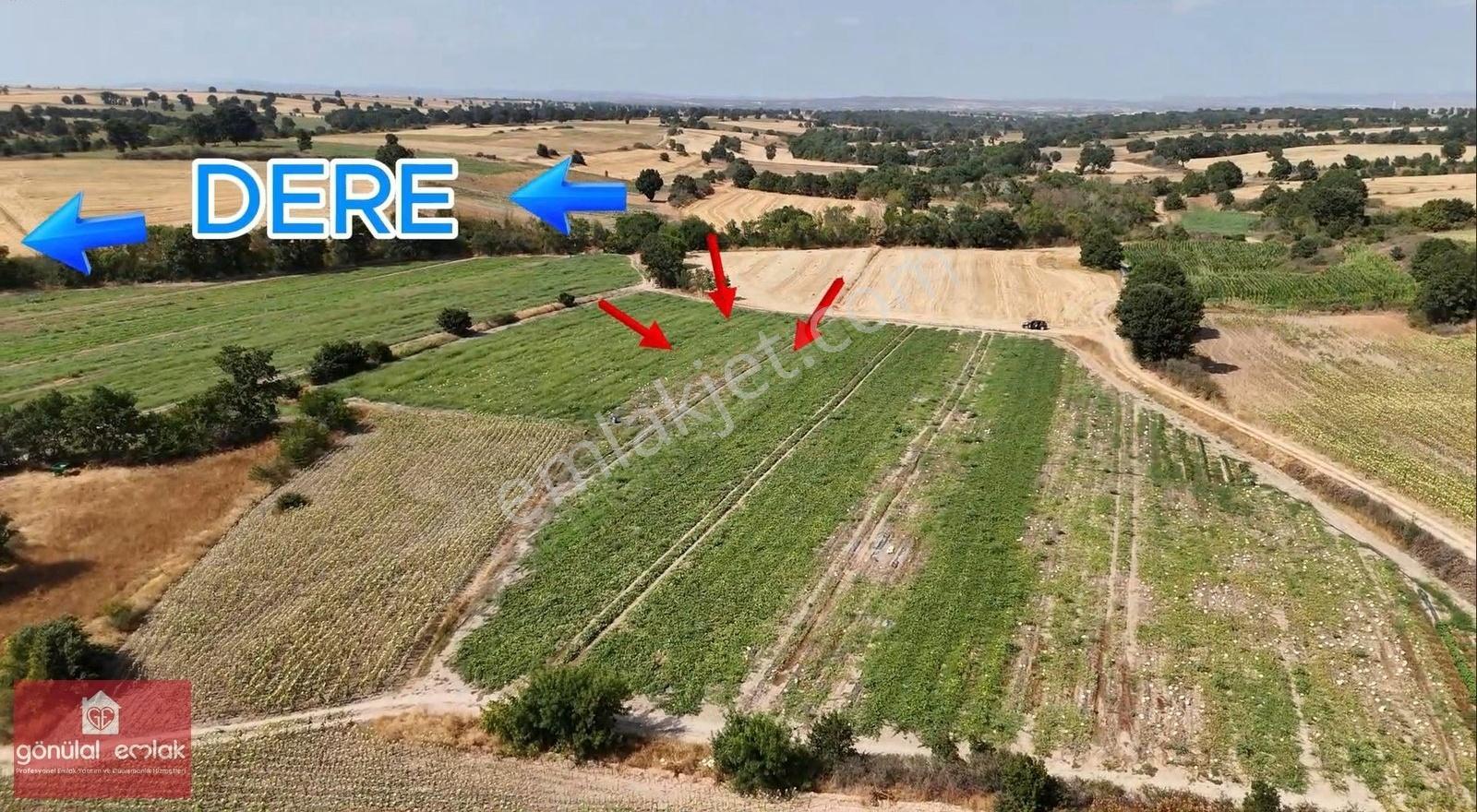 Kırklareli Kavakdere Resmi Yola Cephe Dereboyu 12.900 M2 Tarla - Görsel 29