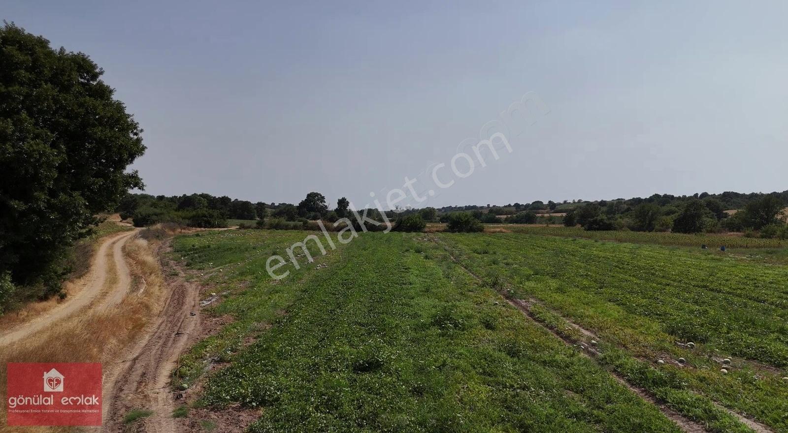 Kırklareli Kavakdere Resmi Yola Cephe Dereboyu 12.900 M2 Tarla - Görsel 15