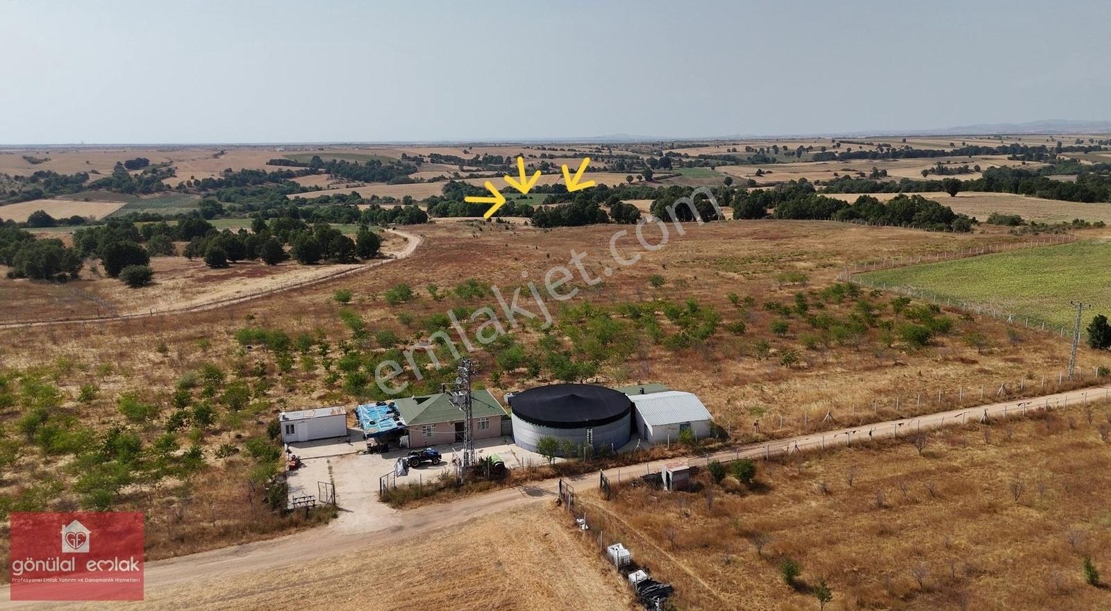 Kırklareli Kavakdere Resmi Yola Cephe Dereboyu 12.900 M2 Tarla - Görsel 13