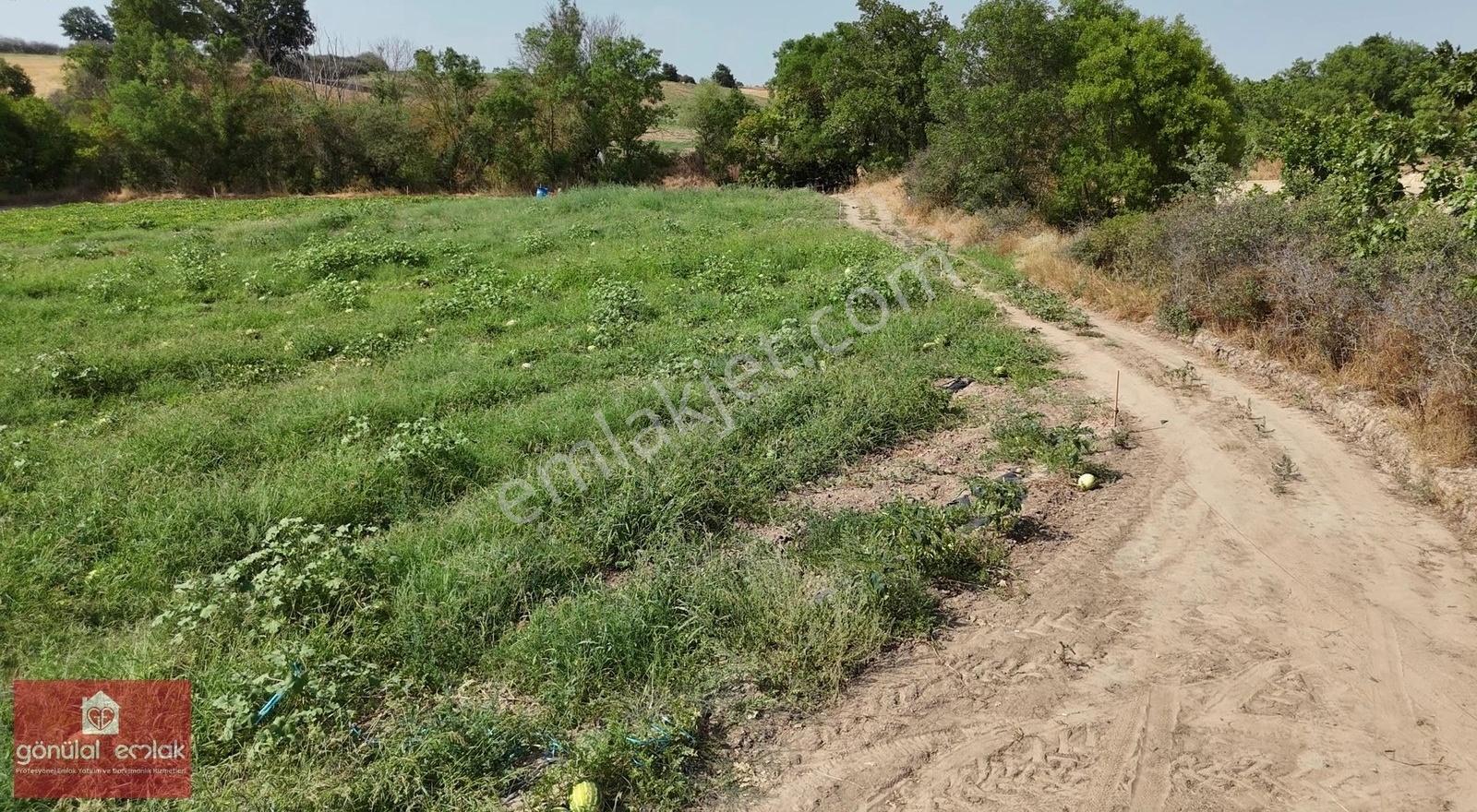 Kırklareli Kavakdere Resmi Yola Cephe Dereboyu 12.900 M2 Tarla - Görsel 9