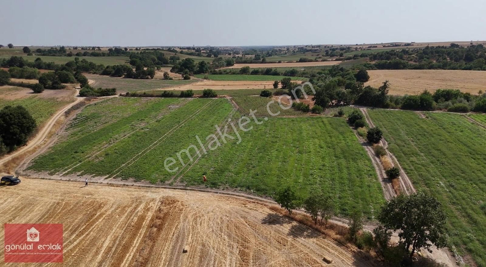 Kırklareli Kavakdere Resmi Yola Cephe Dereboyu 12.900 M2 Tarla - Görsel 11