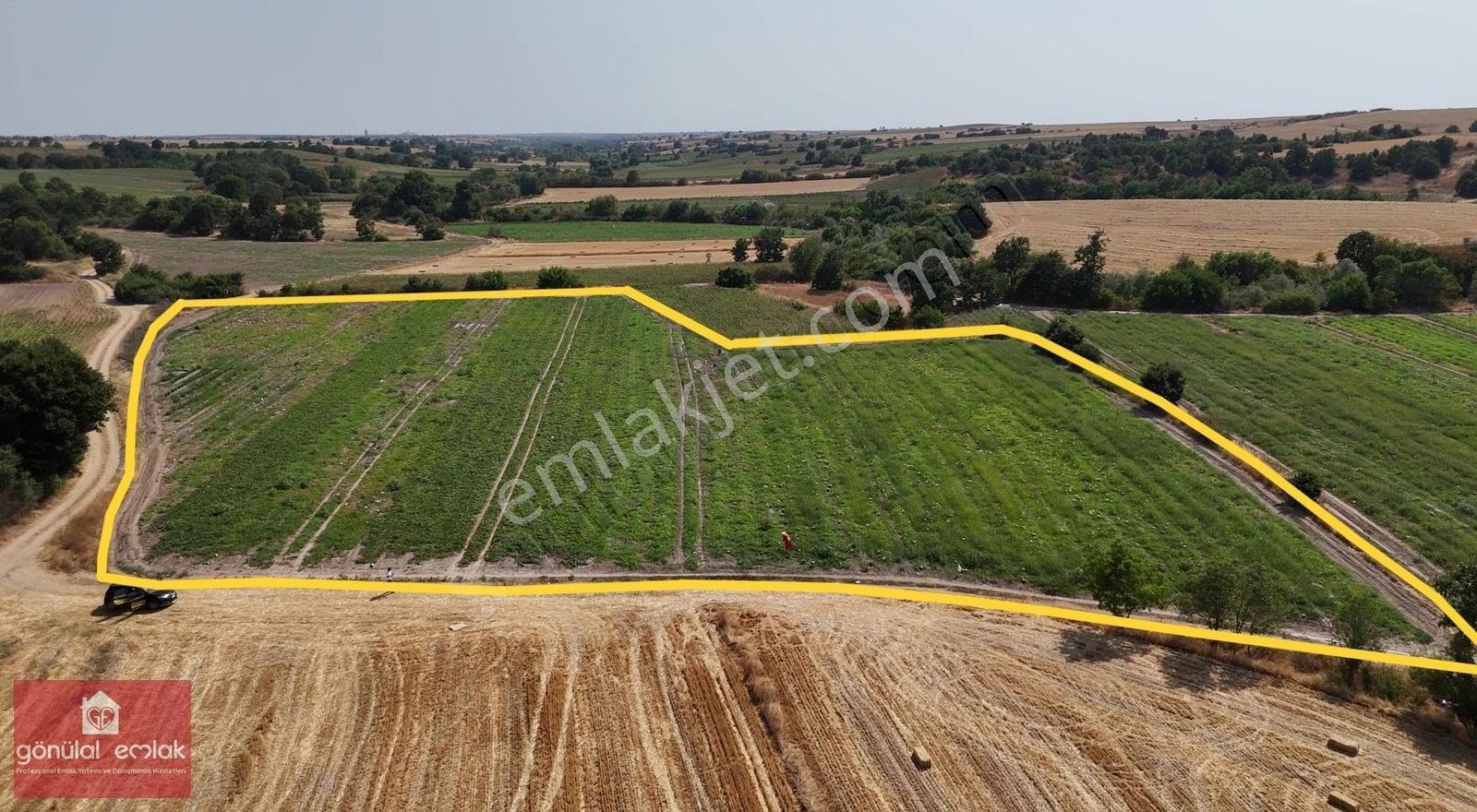 Kırklareli Kavakdere Resmi Yola Cephe Dereboyu 12.900 M2 Tarla - Görsel 4